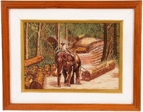 Elephant carrying the logs